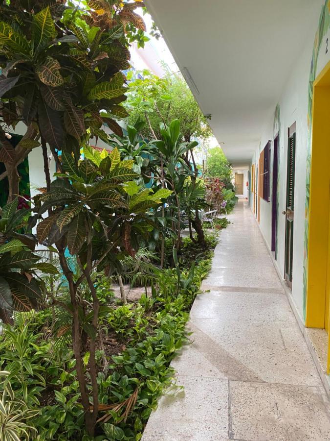 Edem Hotel 3*