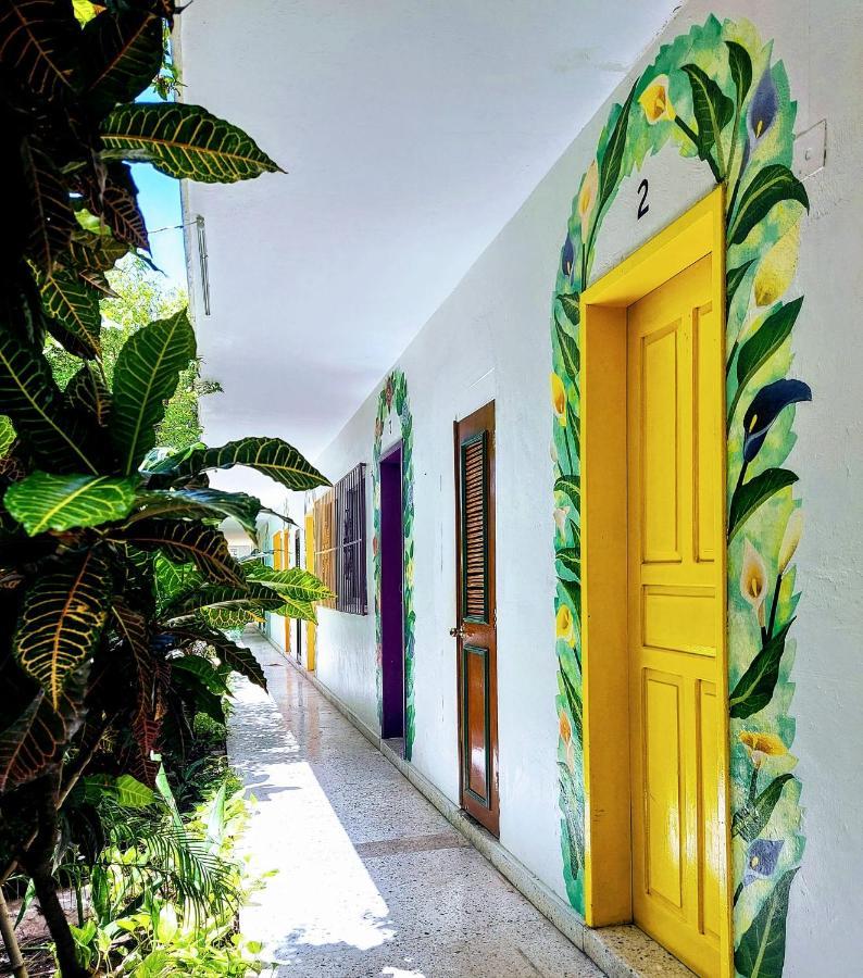 Edem Hotel Cozumel