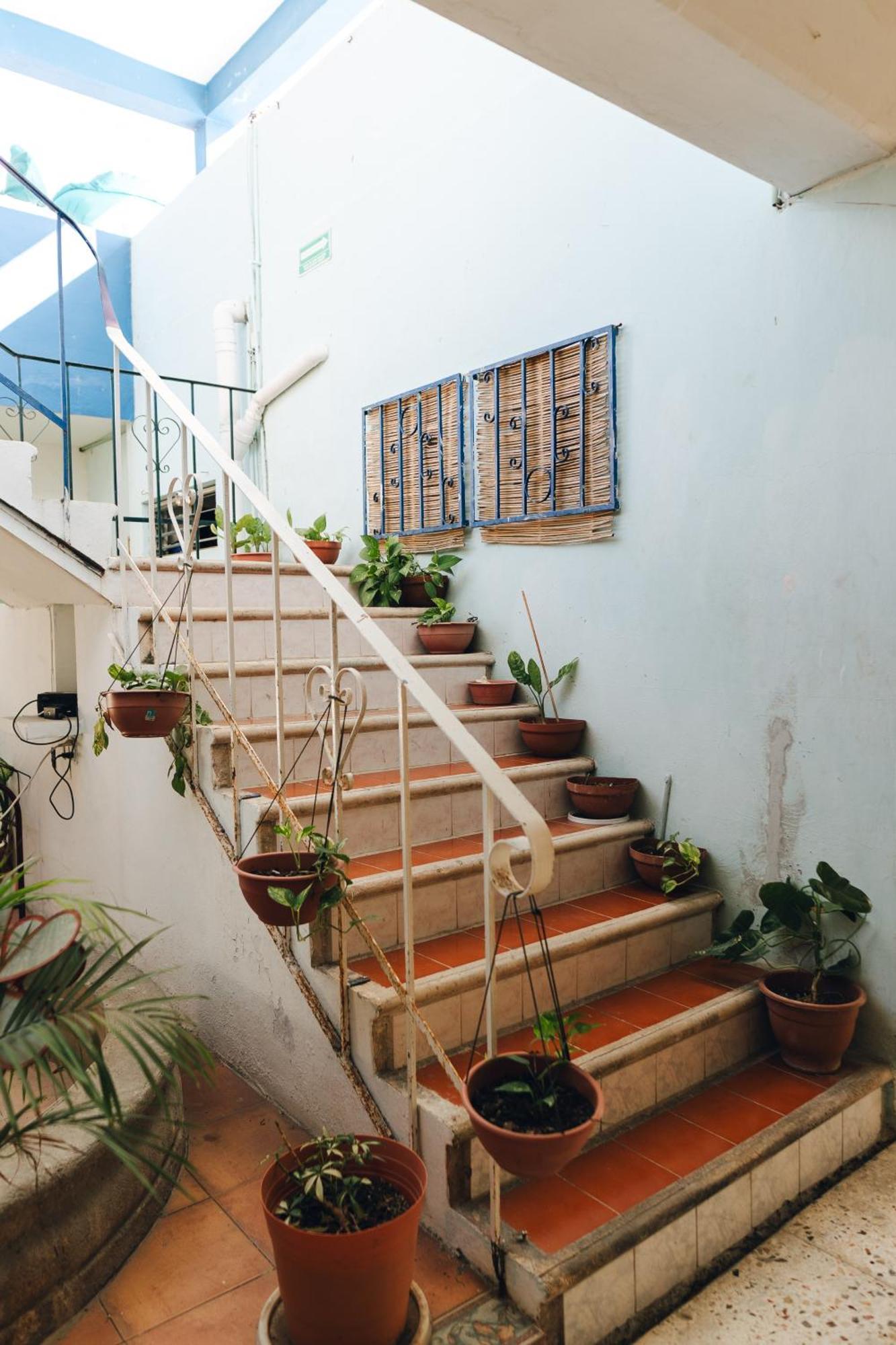 Hotel Edem Cozumel