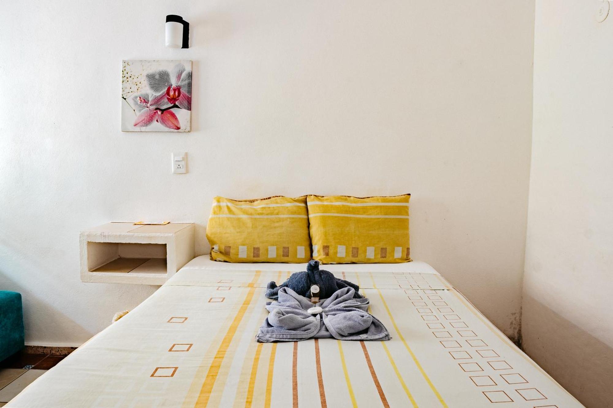 Edem Hotel Cozumel