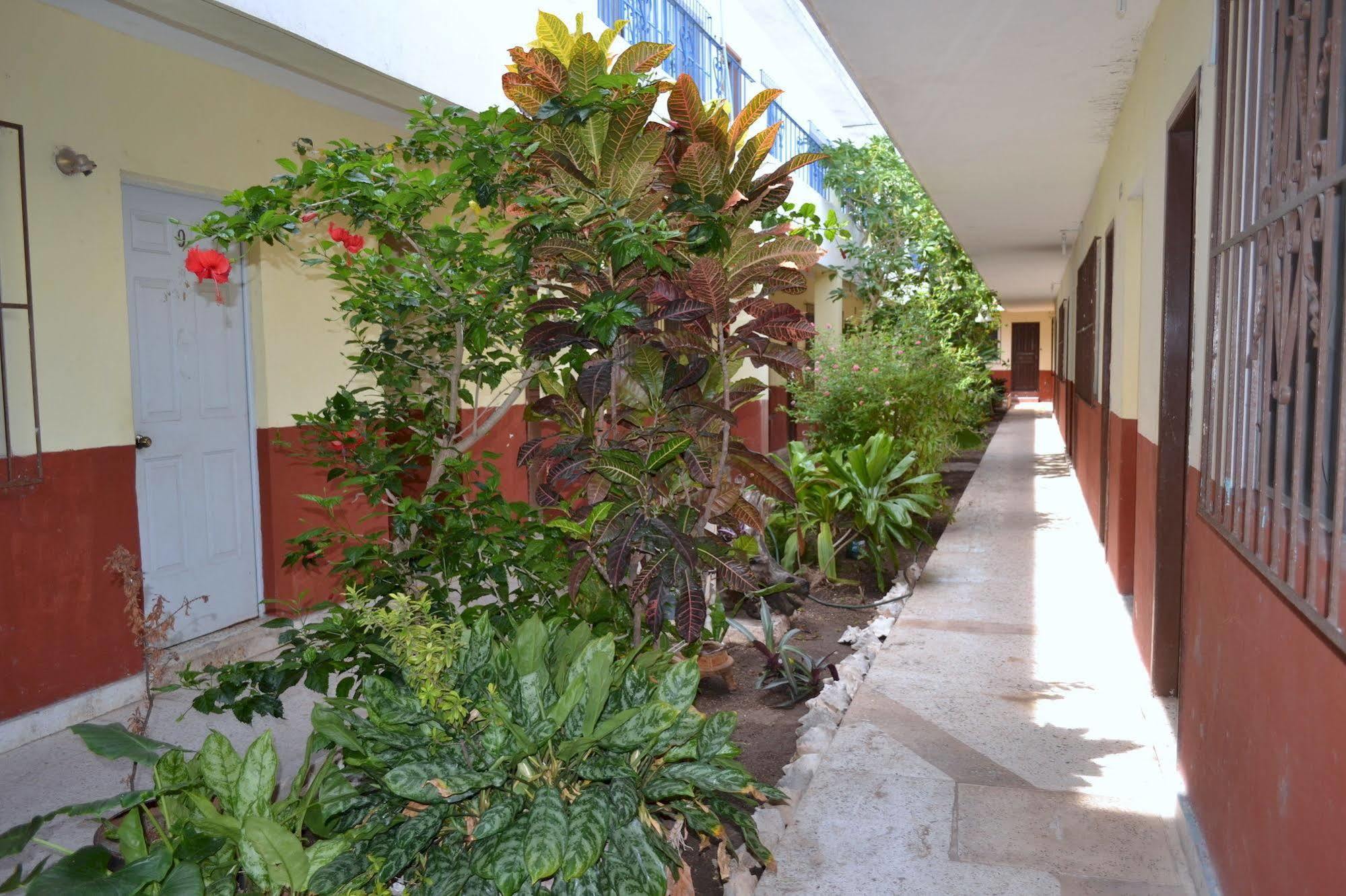 Hotel Edem 3*