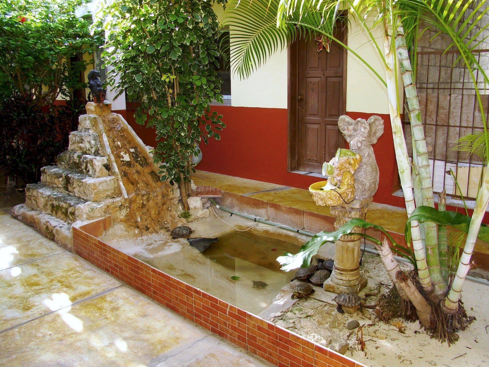 Hotel Edem Cozumel