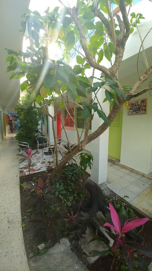 Hotel Edem Cozumel